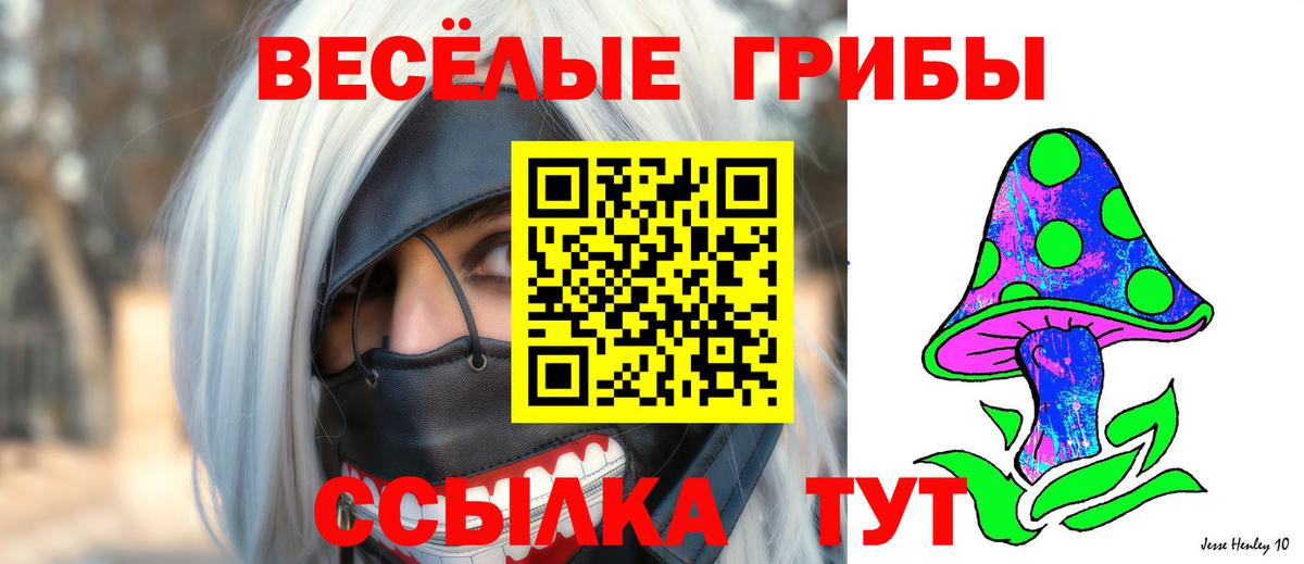 Галлюциногенные грибы Cubensis Надым